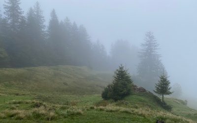 walking in the mist – warming at the fire